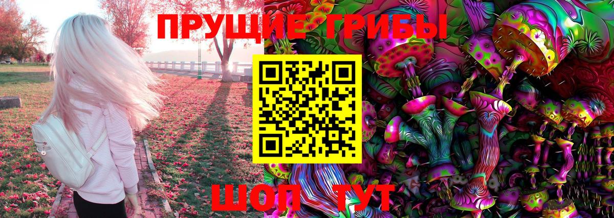 Галлюциногенные грибы прущие грибы  Галлюциногенные грибы Cubensis  Вход с VPN  Сердобск 