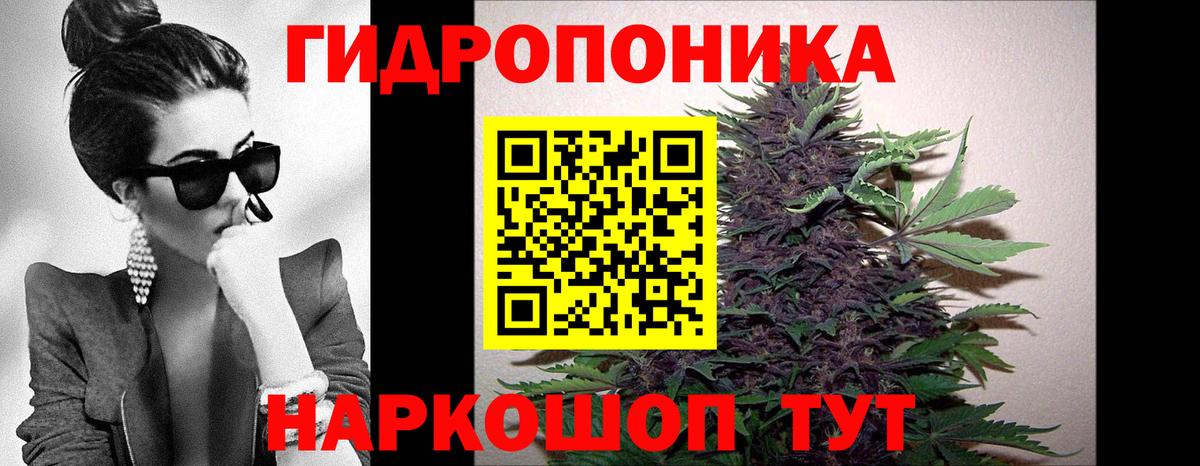 Бошки Шишки гибрид Сердобск